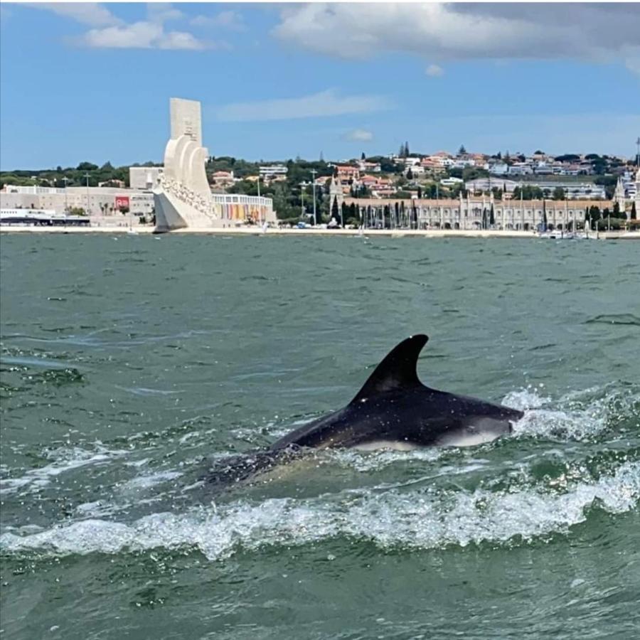 Tejo House River Lisbon Almada Ngoại thất bức ảnh